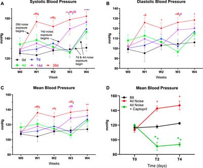 Long-Term Effects of Aircraft Noise Exposure on Vascular Oxidative Stress, Endothelial Function and Blood Pressure: No Evidence for Adaptation or Tolerance Development